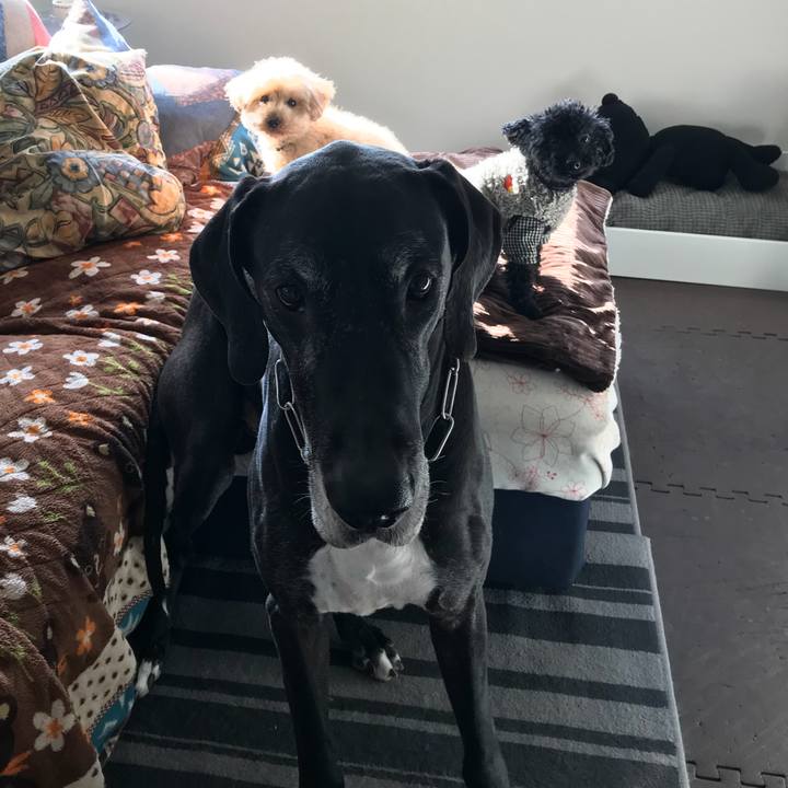 22c7c410 d86e 49dc abf8 a5318ecdbc9e 1520981763751