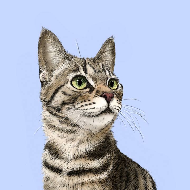 22c7d586 9921 4552 903d be72c4b74d52 1592923331323