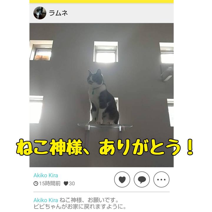 22c7f11d c4bd 4f87 a057 a1ca31f2a1c2 1630370216723