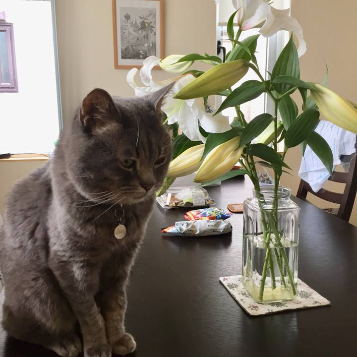 22c7f374 549f 4f28 8aa9 4e8c172d1cf7 1534137073839