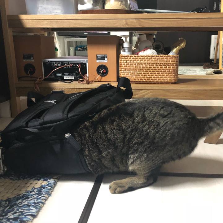 22c81c57 9f0e 48b0 99d5 f76942e4e387 1525707397013