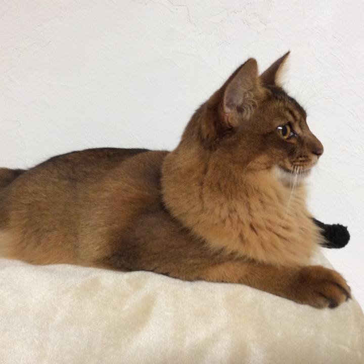 22c848ce bf90 473f 8516 23357a76a50b 1595308586125