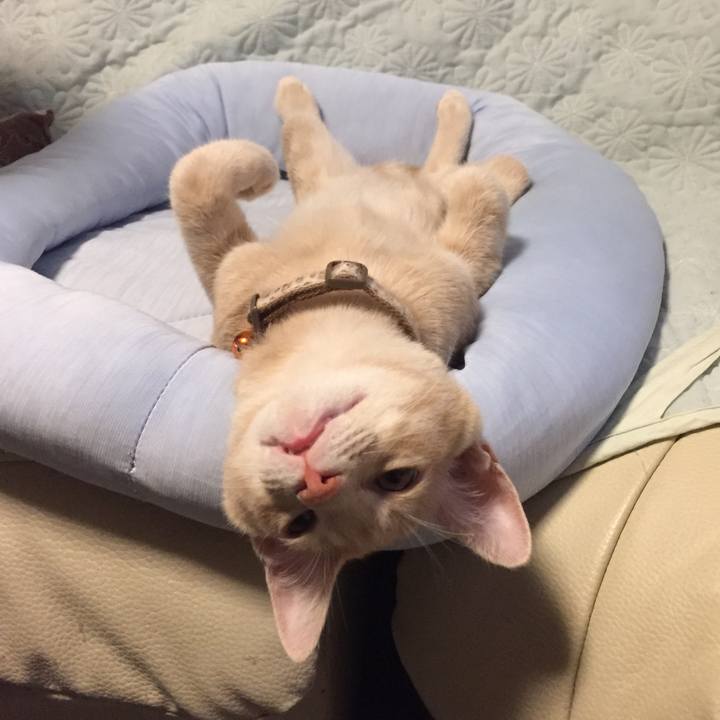 22c894a5 6cd5 4673 869c 4aed7921908c 1537094133413