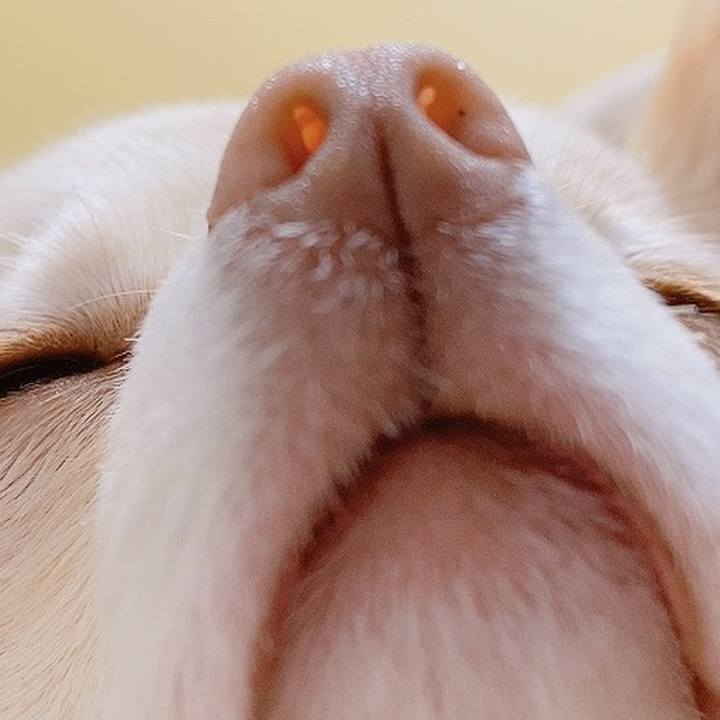 22c8c1ee 4807 4c2d 8ecc b419b0e2a93f 1618657926141