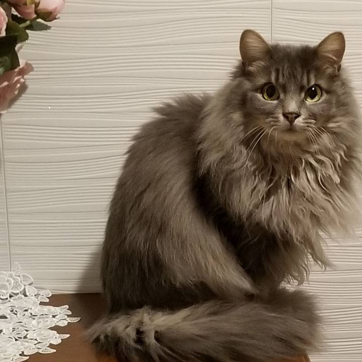 22c8c5b3 879f 451a bb9a c7feda15e837 1582363029567