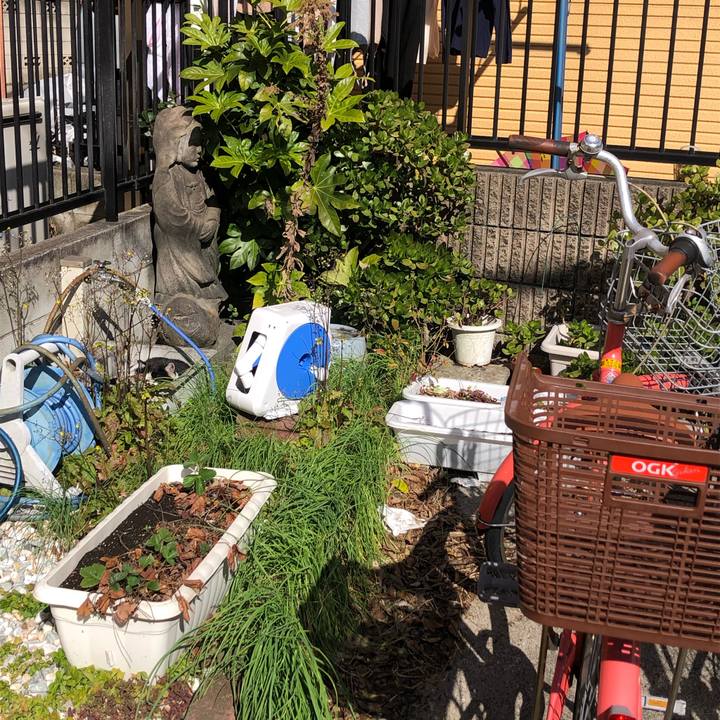 22c8ca69 6168 40b4 827d 2fdc8037be01 1617092002812