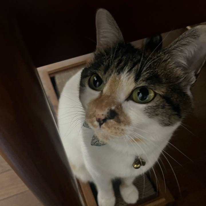 22c8f138 9b3f 45fc acf2 616f8750a9cc 1765581260939