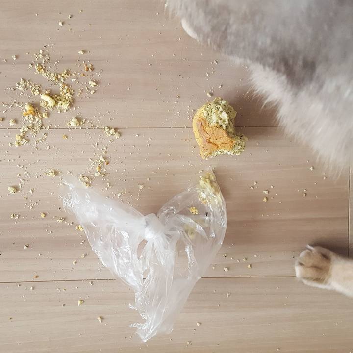 22c8f655 1f26 474f 8105 a2fb9ad06a86 1583542795265