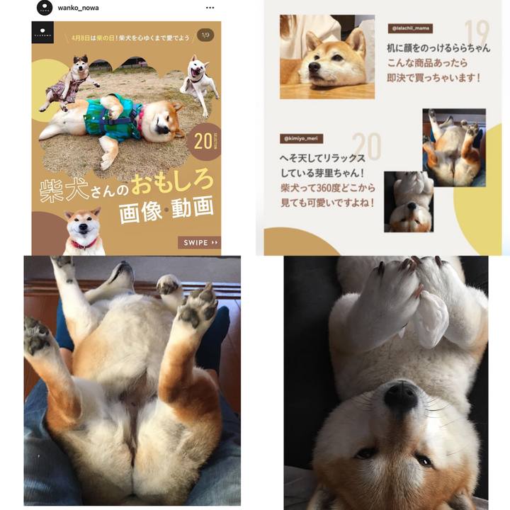 22c94aef 2cba 4759 bf2d e0323e2fbc06 1680911002027