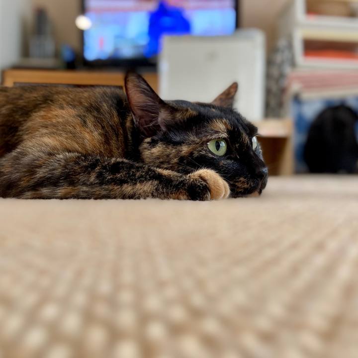 22c983fe fa0c 40e6 813b 133ed584e5db 1595767902900