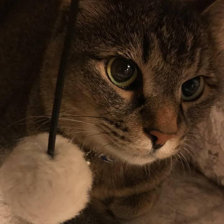 22c9847b 89ec 497a 8de0 aba42d28b411 1557955794463