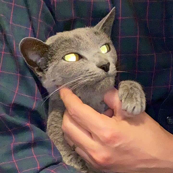 22c996bd 0b7a 4ebd 8416 bb7033aa5f72 1580339925877