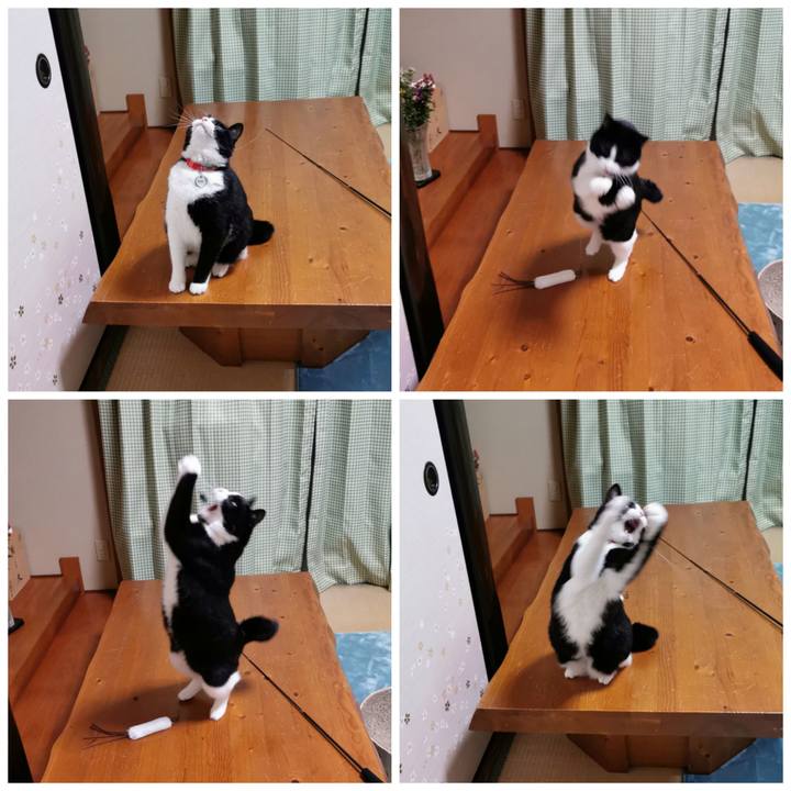 22c9a9da 767f 4b1c 9e51 1bc65044b896 1642562336194