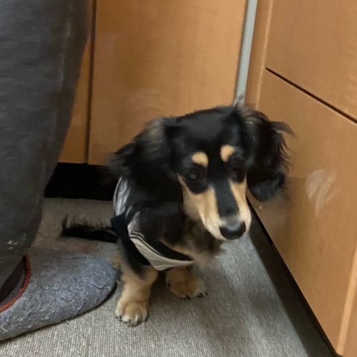 22c9bac2 12ed 4de6 bda2 7bf128ea0572 1674600292205