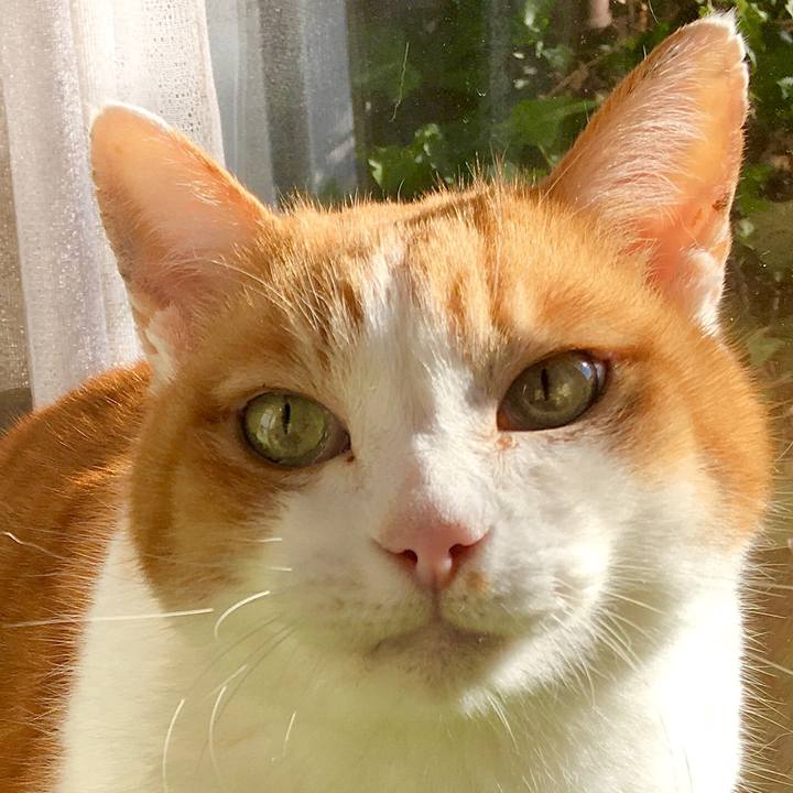 22c9dcf3 2ea2 490a 96f8 f084ad504553 1615272480383