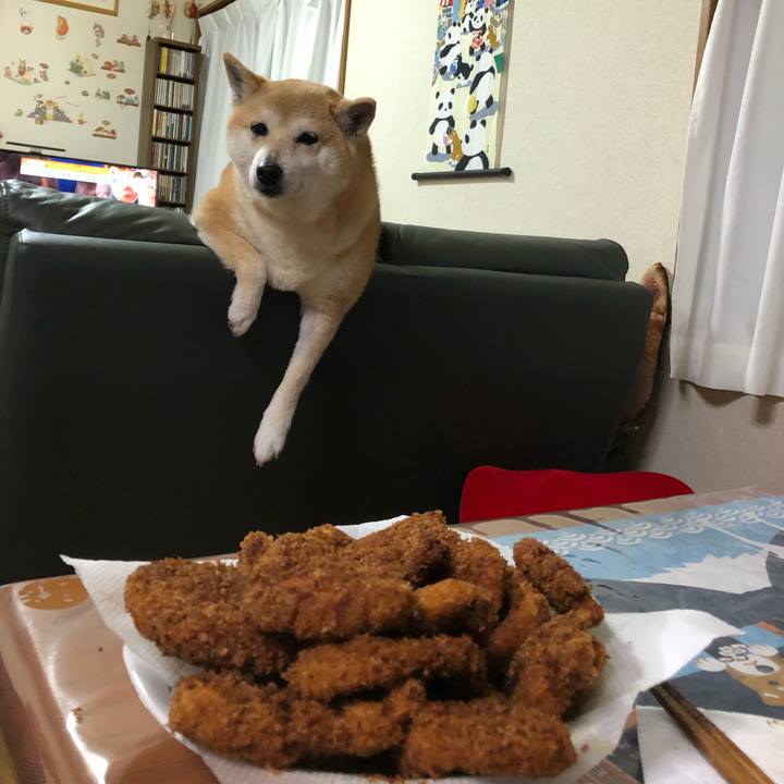 22ca0b6c a0d4 4011 9e98 a88e20d14b56 1583416685940