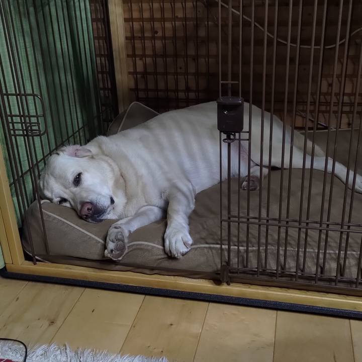 22ca15fc dfc4 44f9 b346 df721192e3ca 1696340463842