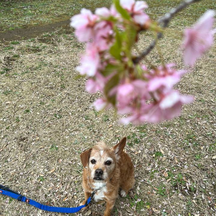 22ca1d48 244e 4c06 9a90 3e523b6cf311 1741863398585