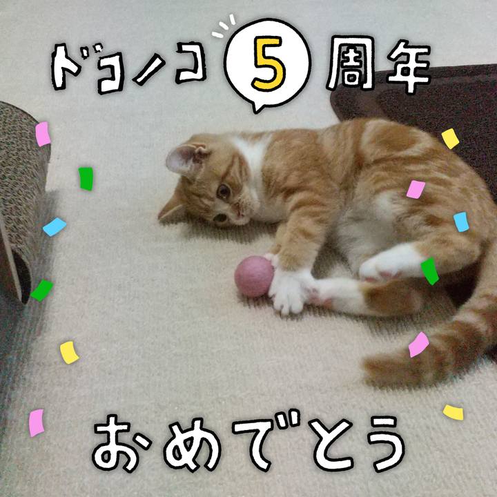 22ca5c87 c64d 4ca9 a14c 831abe22e32a 1622981814833