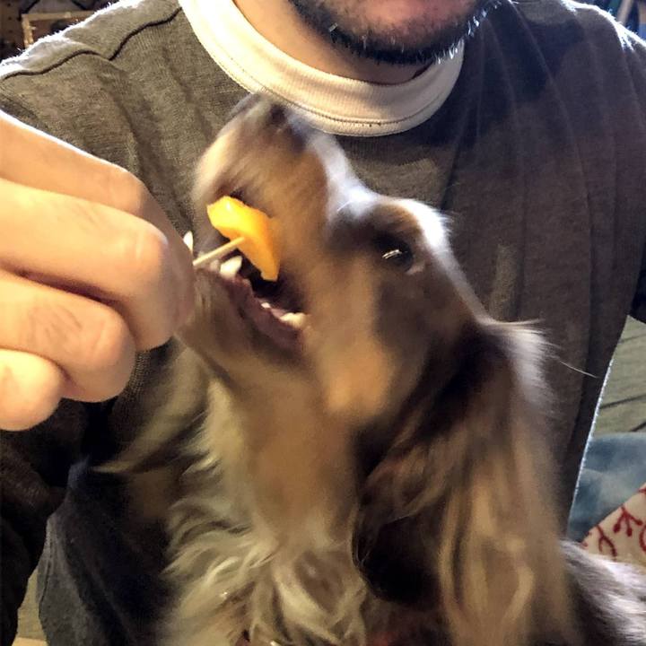 22ca77b8 bdfa 4885 80eb de43c1aa33ea 1608435589507