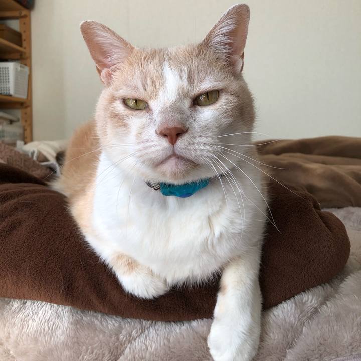 22ca7ae3 ddcf 4edf 9008 239b1fbe34d7 1609547335680