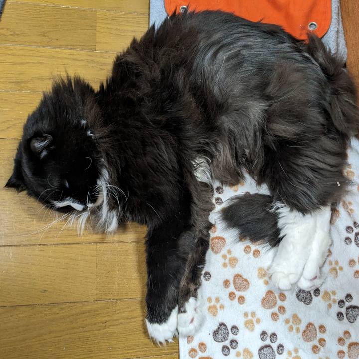 22ca7e17 ea75 44bb 89ea a2c3451b6a12 1707824438363