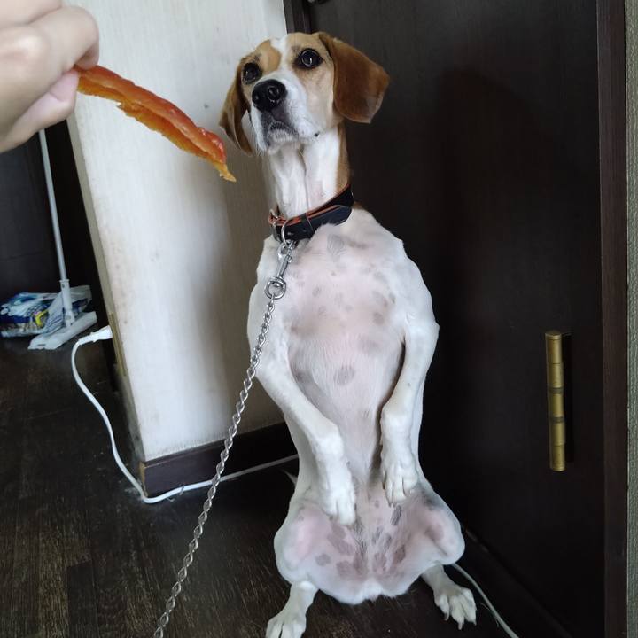 22caa61f f5ac 4c72 9bc2 a88ccbd54c68 1630821768456