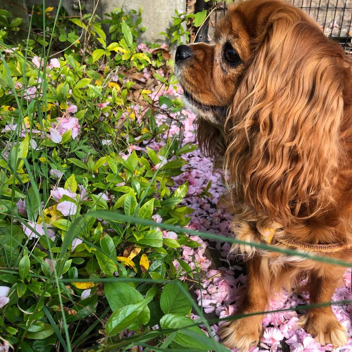 22cad8f2 11bc 4ccf a1c9 a1f85651918d 1650668292810