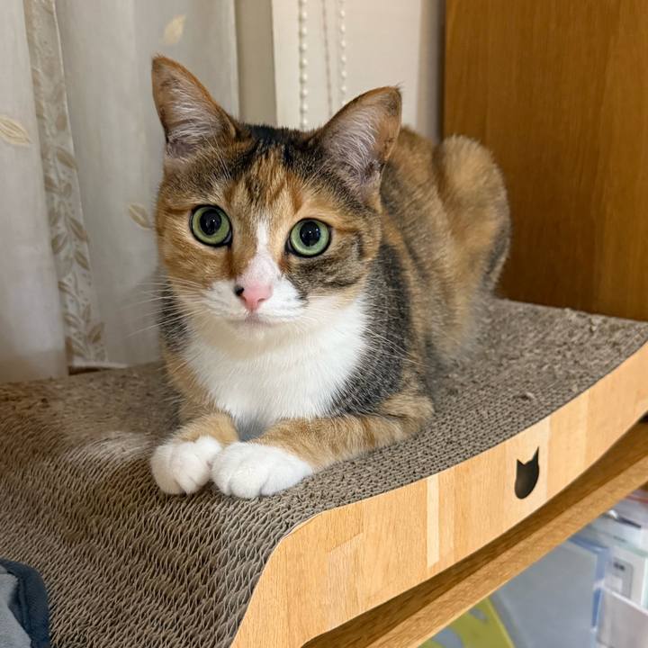 22caf8e5 ba97 42aa b786 ec1f9df79970 1763168154560