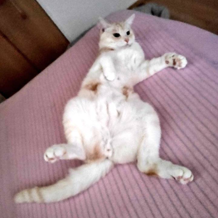 22cb49c4 06b4 4bba 8611 d81c8cbfe138 1660951922292