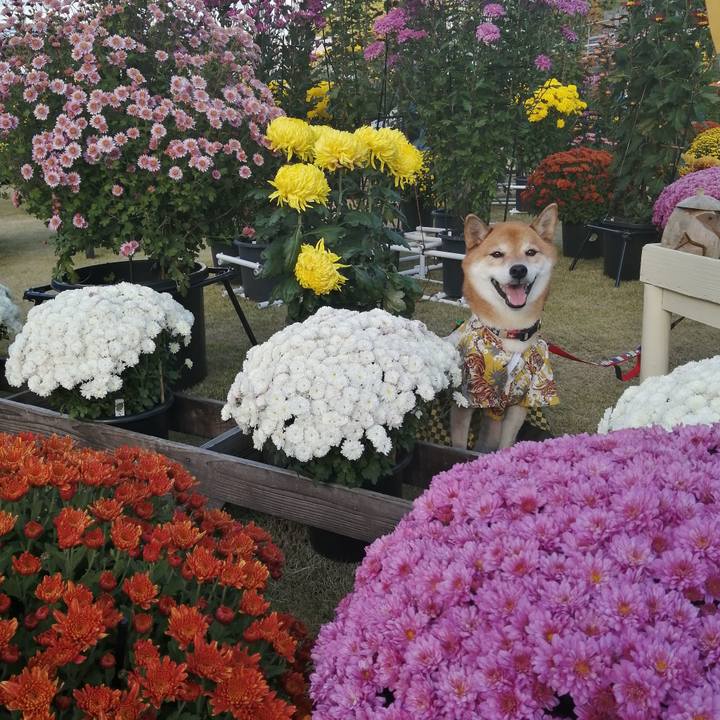 22cb4e97 a962 4880 8607 bc0f5eb0d981 1667964502988