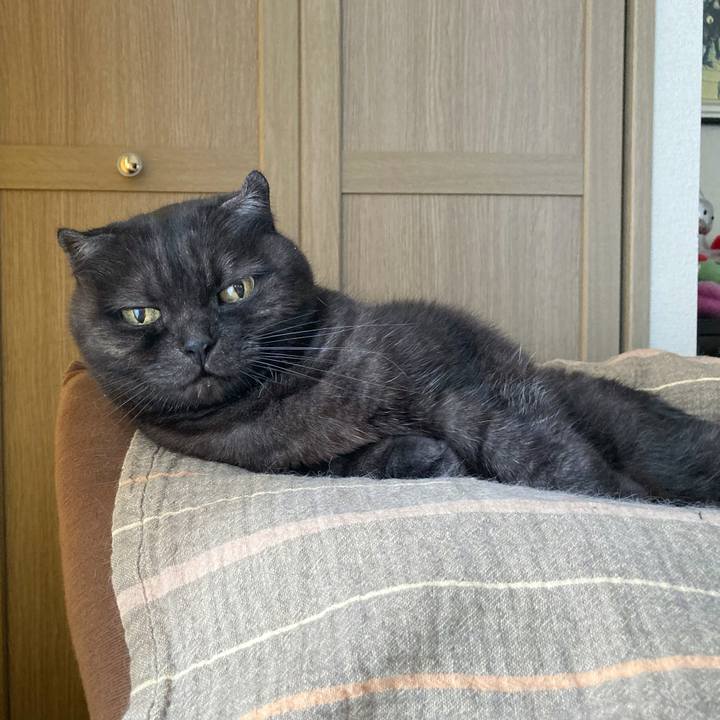 22cb5e09 4903 47c1 b4af 715e2db85d64 1593081499777