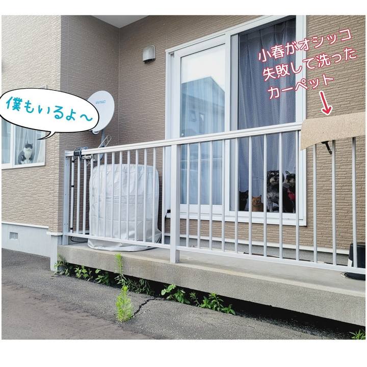 22cb6bff ff2e 4f88 8adc 9cdf1edca03b 1661167933145