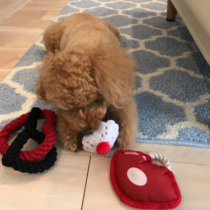 22cba62c 7a8b 4e69 8c35 1b47e9f0b0f8 1550125324509