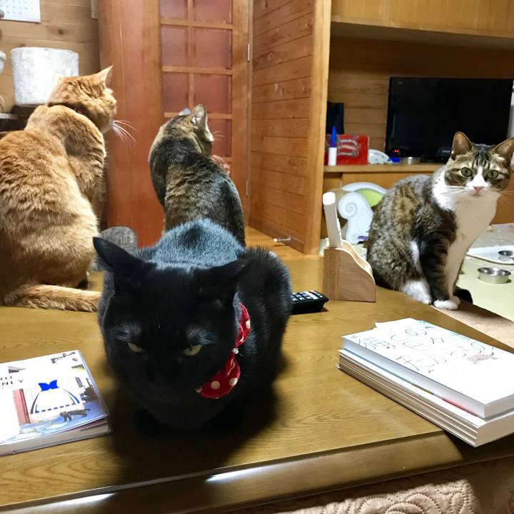 22cbd58e e525 449e 8063 79c00ff10e03 1549284063840