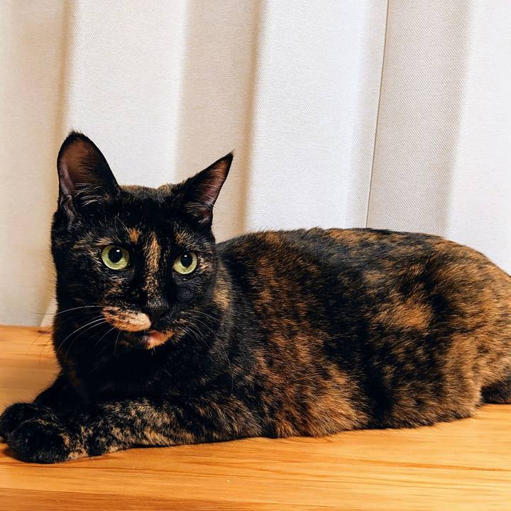 22cbed2f e641 4014 875a 34fcc2494ab6 1760698651140