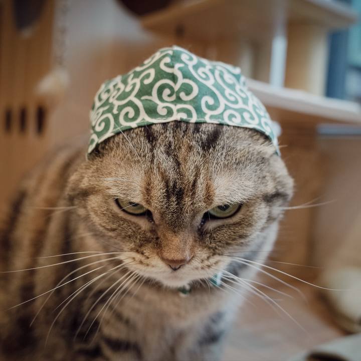 22cbeeb7 b760 4120 a40c 84b9e49d5291 1762060359404