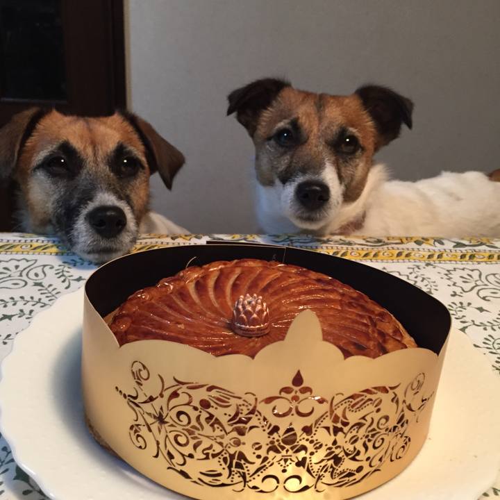 22cc5234 666b 4421 bcc5 75b86046d0d0 1547166362164