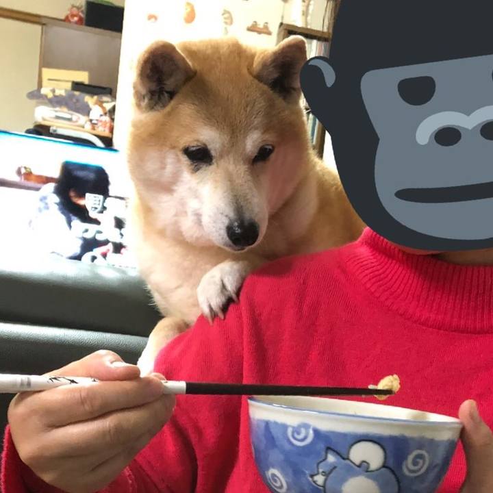 22ccc521 2306 4894 a4d3 4ecb360cb509 1586524366659