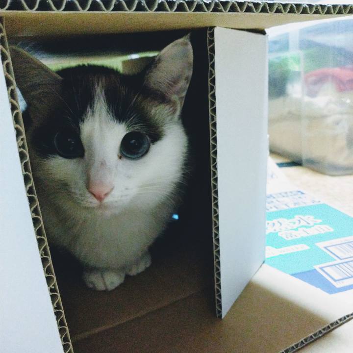 22ccf161 d604 4b86 b1c0 308b1142d3bd 1552967726592