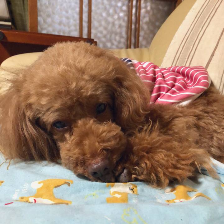 22cd0411 6647 40c6 b7d3 eee6f85cda1c 1560772923776