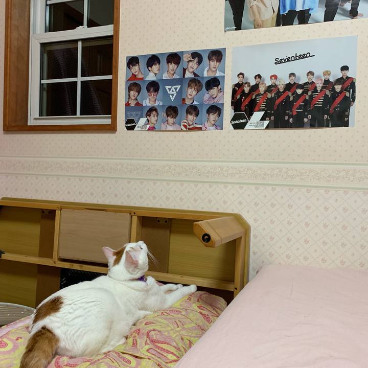 22cd377b 1bda 412c 80dd 22b78d749cc1 1565453754788