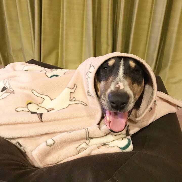 22cd3d2f 059b 447c 81e5 b501d6a14533 1519304289337