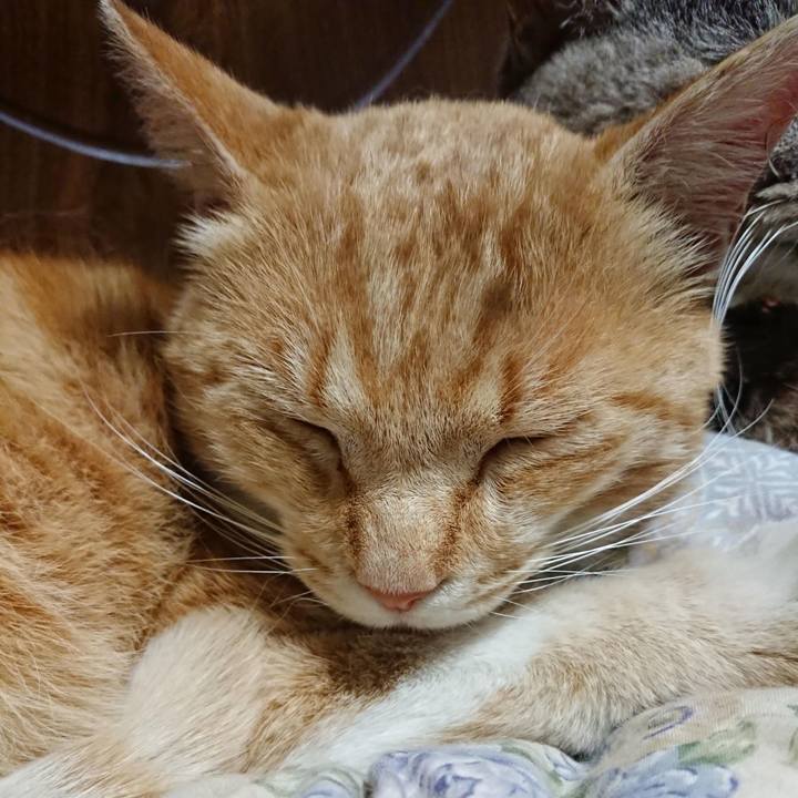 22cd3e8b e4b8 49d2 beff 11f8bbcdcaee 1588680384641