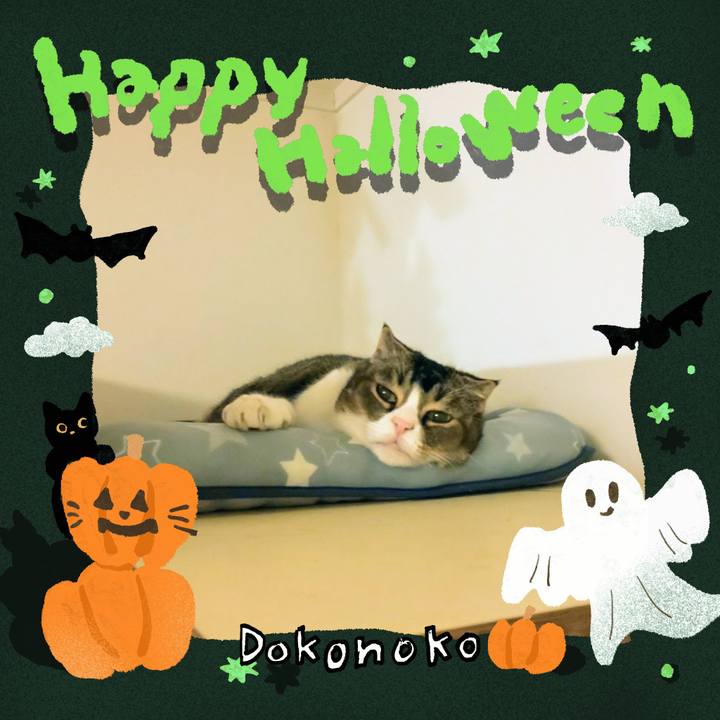 22cd5525 7825 40f4 8809 5815c8b158e0 1729688604599