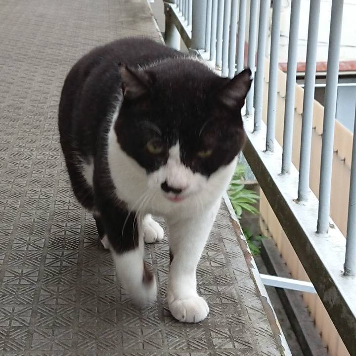 22cd75c6 6fd4 47b9 8f0e a48f3058c54f 1659387749826