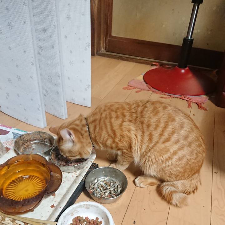 22cd785b fb0d 49c2 921f 36e209a3b468 1646994764162