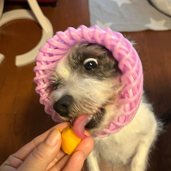 22cd7b92 a277 438f a4a7 75f7b6ae6fda 1686445886773