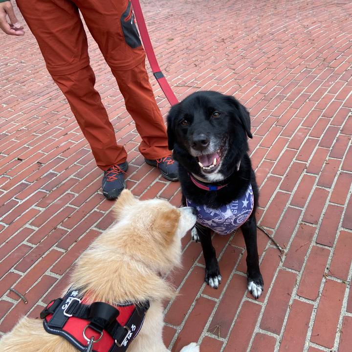 22cda16c ad4e 4e29 8d4a 370d893f4381 1651456700292