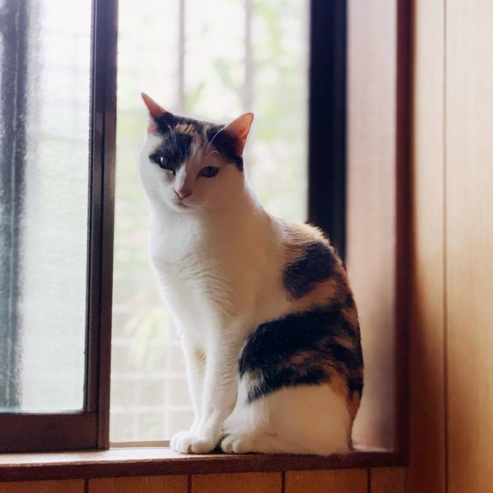 22ce797b 0226 4a59 a219 68335162aa0b 1599013028592